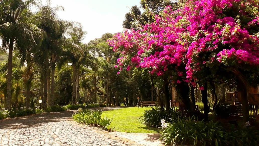 Villa Flor Ecoresort Nova Petropolis Dış mekan fotoğraf