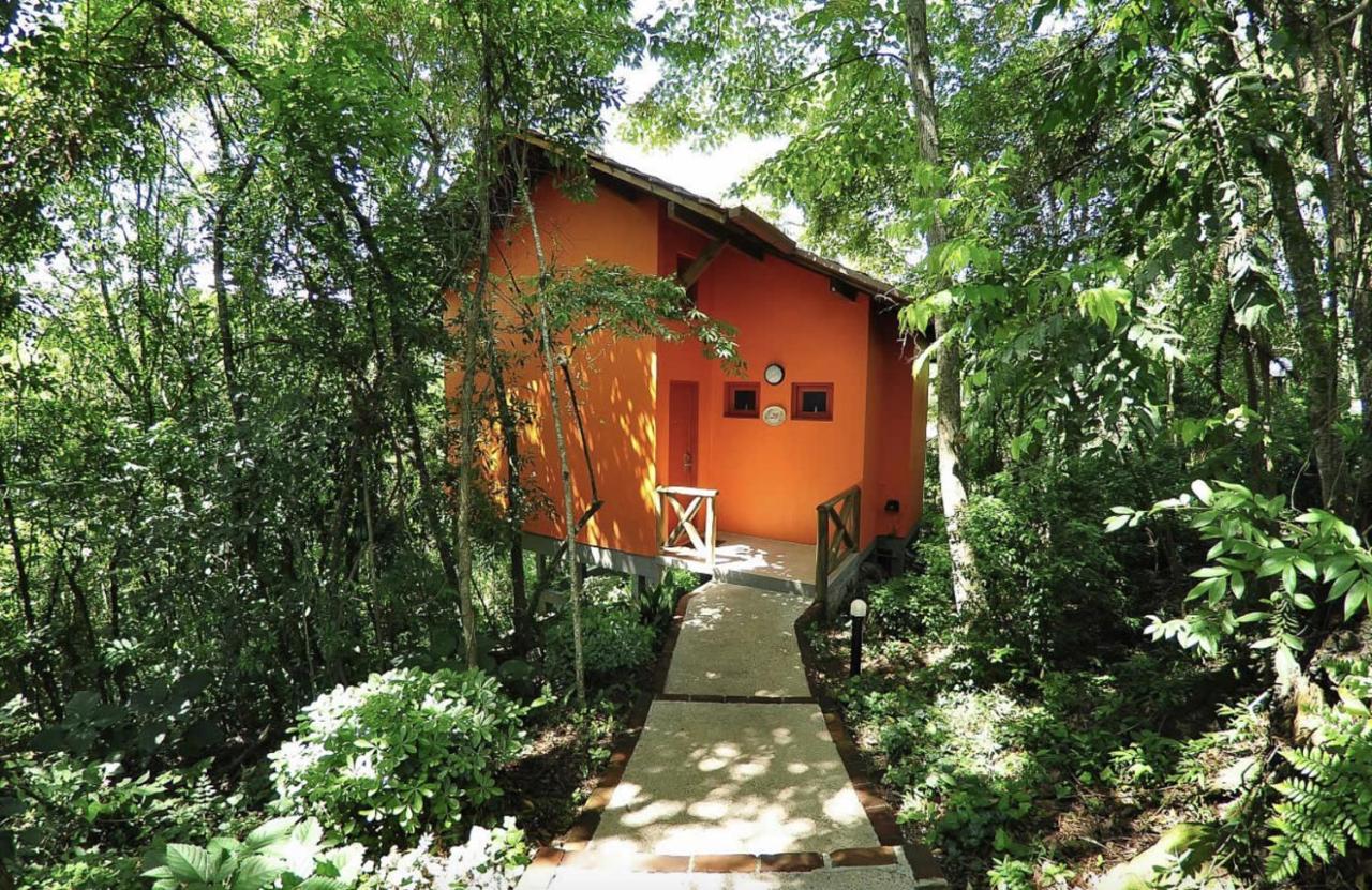 Villa Flor Ecoresort Nova Petropolis Dış mekan fotoğraf